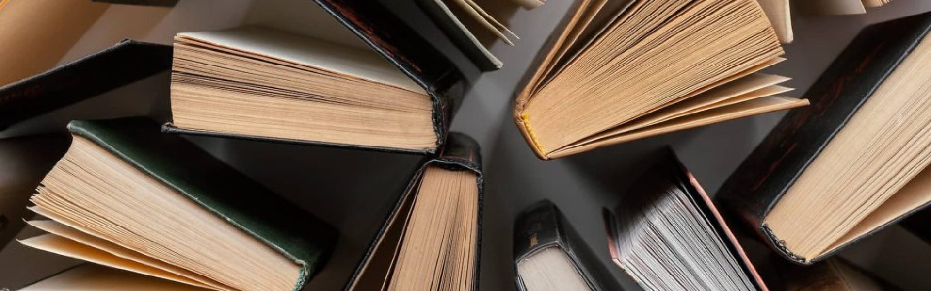 Kad znanje umukne, a buka povede – Anatomija jedne tihe kapitulacije