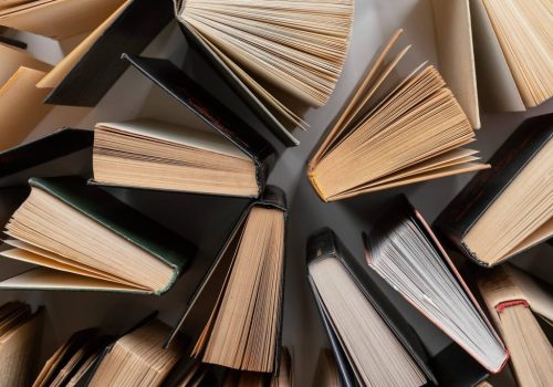 Kad znanje umukne, a buka povede – Anatomija jedne tihe kapitulacije