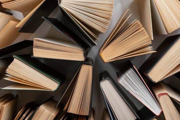 Kad znanje umukne, a buka povede – Anatomija jedne tihe kapitulacije